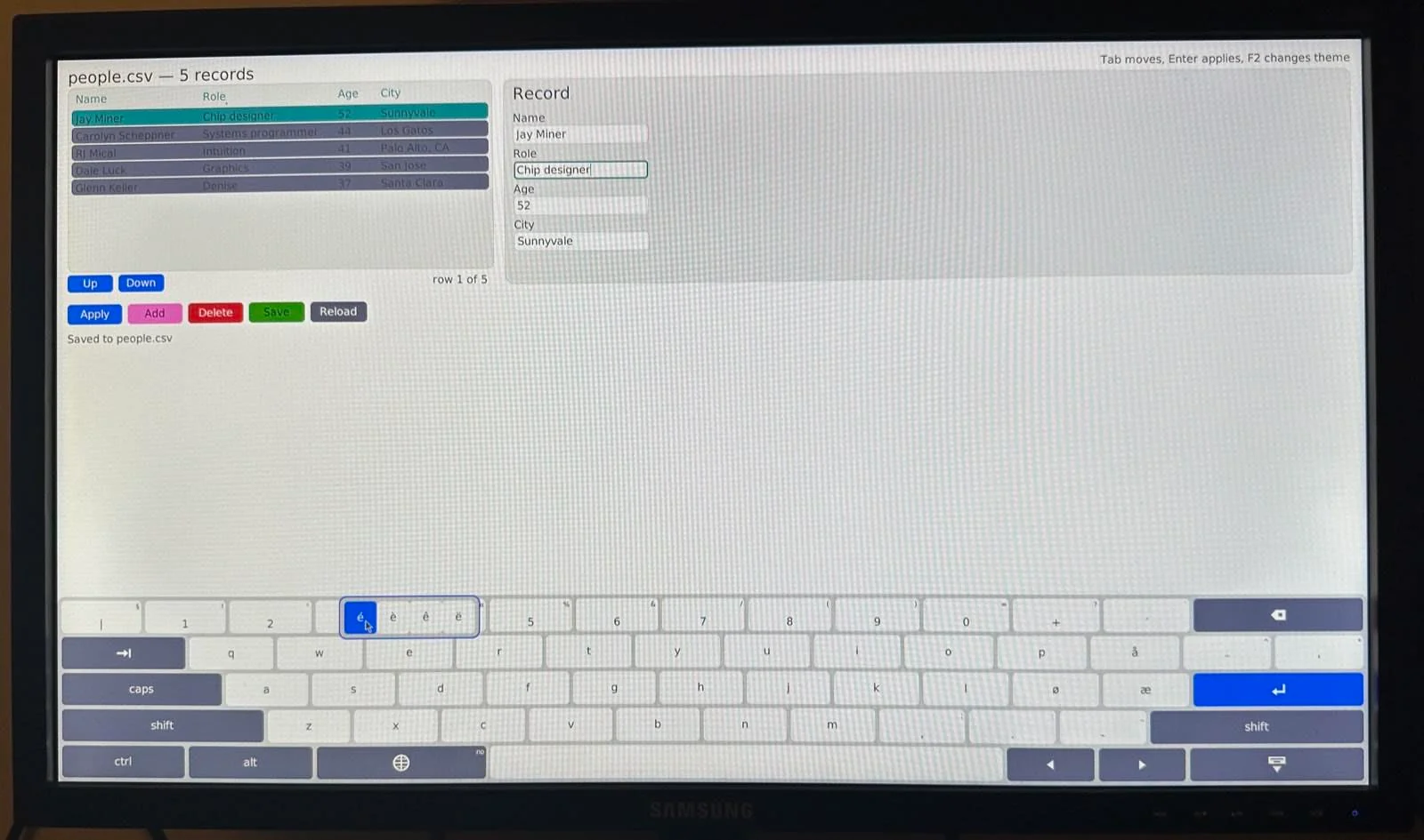 The record editor on the same monitor in the light theme, with a held key showing a framed strip of accented letters above it